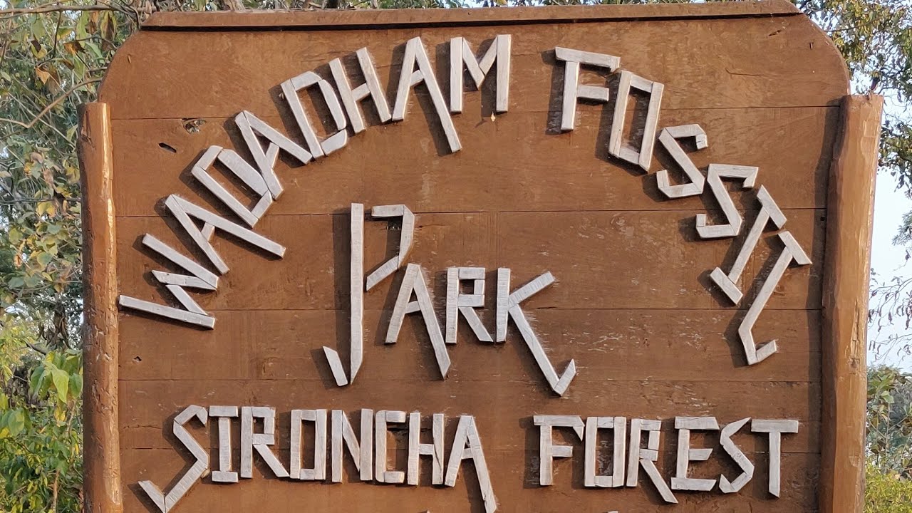 Wadadham Fossil Park-Sironcha Forest | Dinosaur Fossils | #youtubeshorts #youtubeshortz