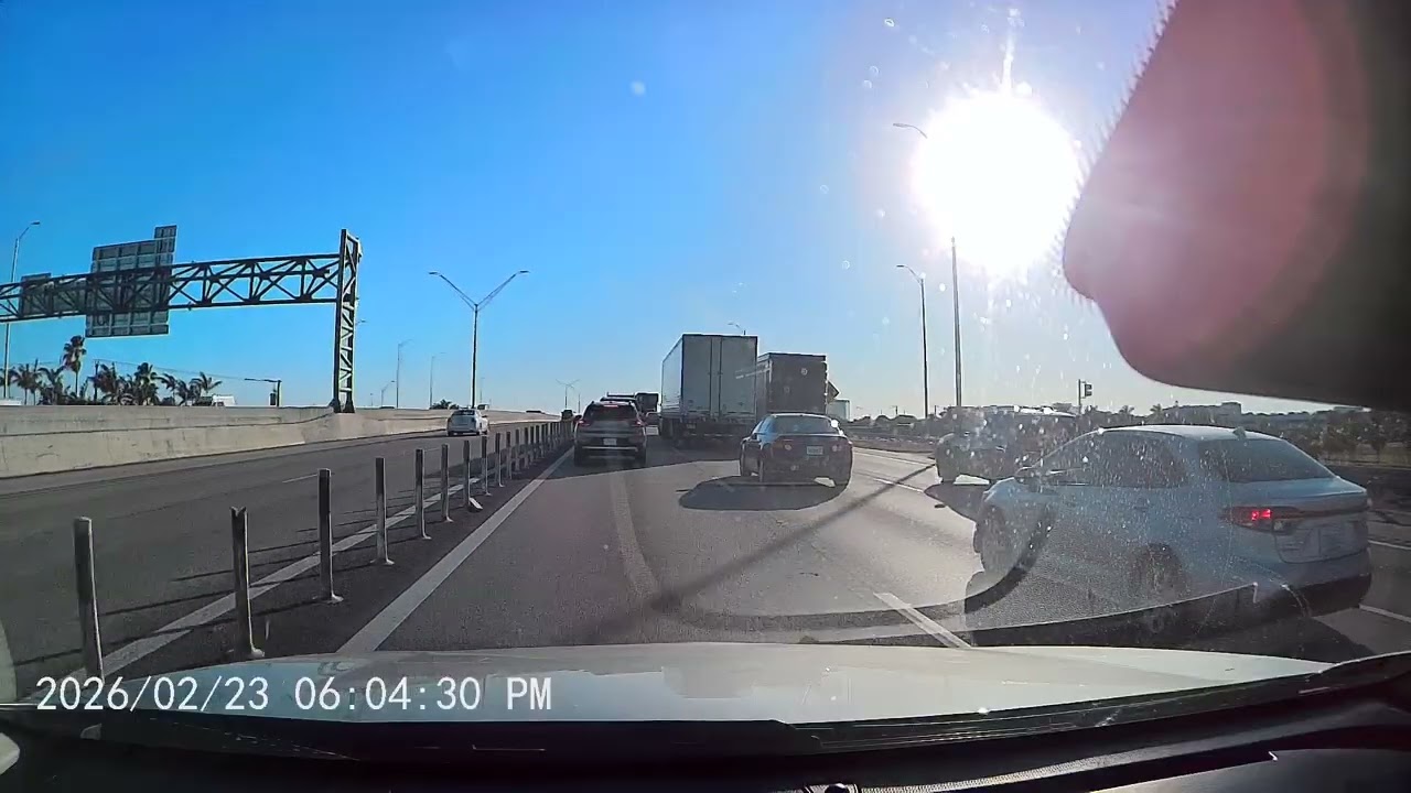Only in Florida: The Most Unreal Highway Moment Ever Recorded