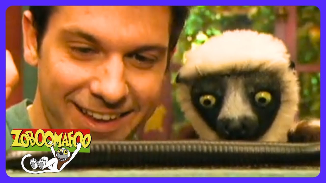 Zoboomafoo - Courir comme un animal ! | TV Kids | WildBrain Maison de Jeu