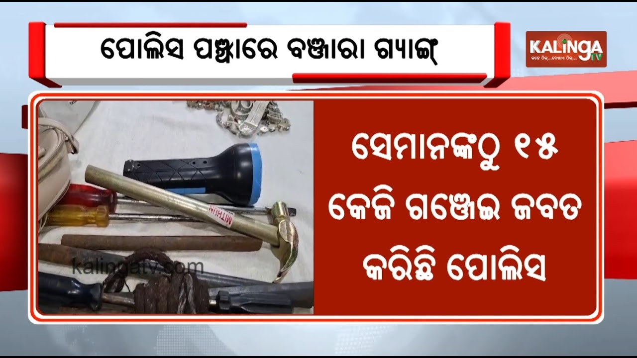 Dhenkanal Police Arrest Banjara Gang in Ganja Peddling Case | Kalinga TV 