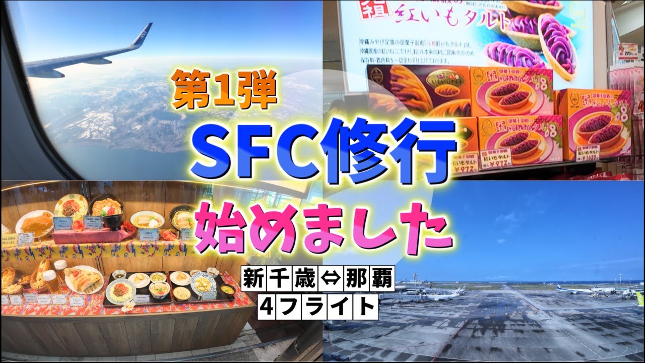 SFC修行始めました・第1弾新千歳・那覇往復4フライト
