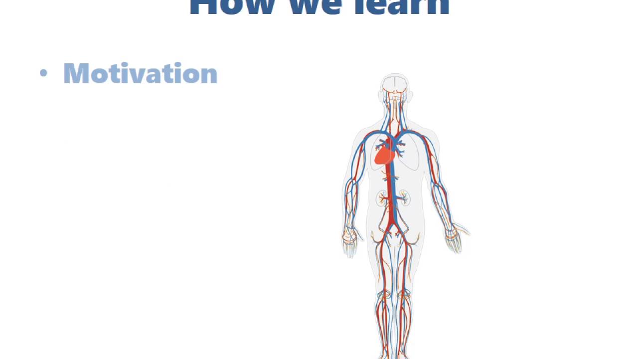 How to Succeed as a Teacher - On Learning