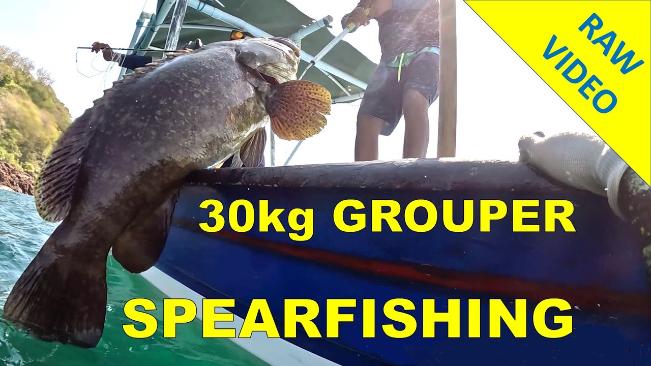 SPEARFISHING PANAMA | 30kg Grouper | RAW VIDEO