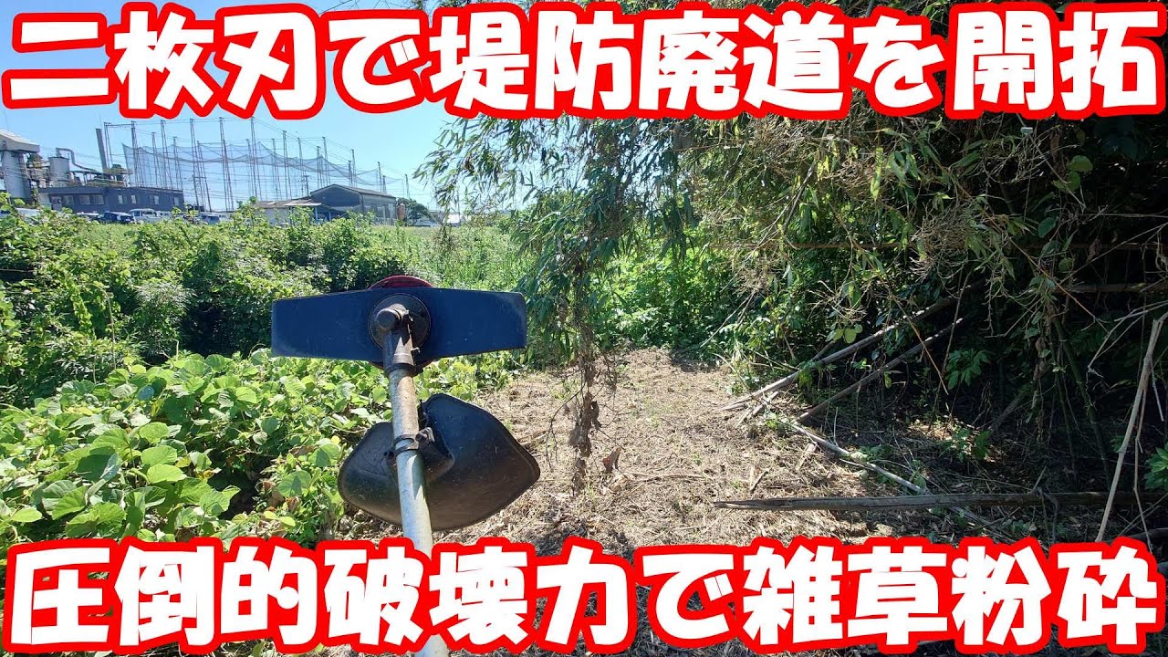 二枚刃最高！二枚刃で堤防廃道を覆う雑草を粉砕。#mower #草刈り #開拓 