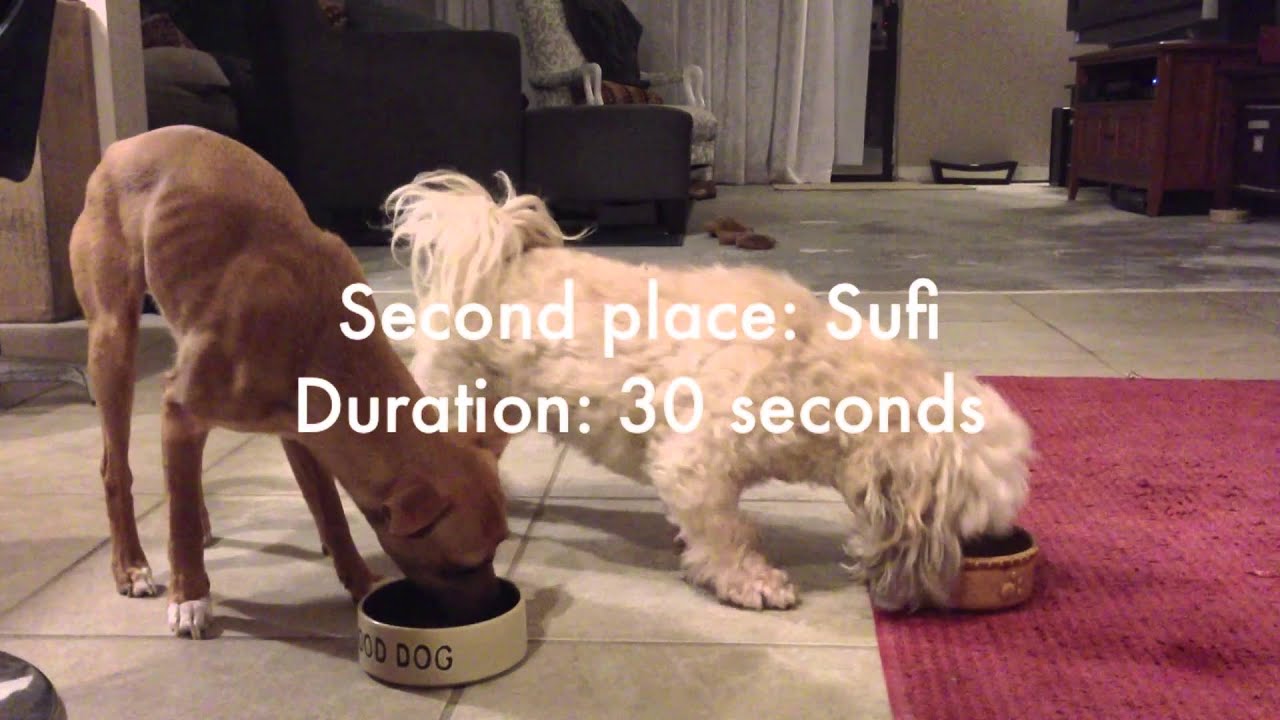 How to Measure Behavior