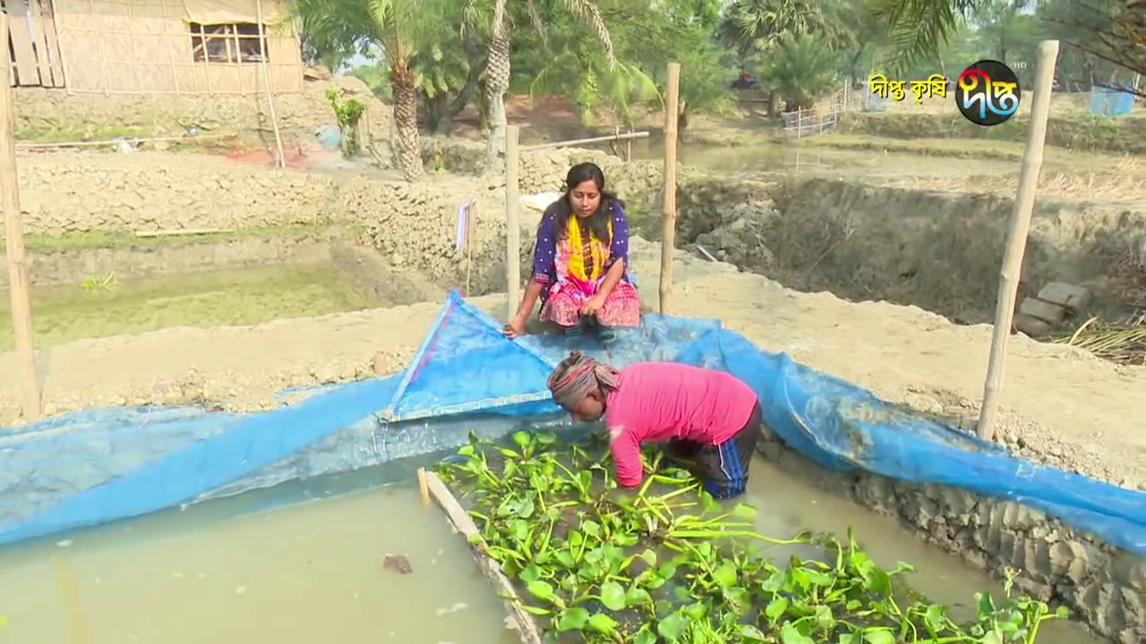Deepto Krishi/দীপ্ত কৃষি -কুচিয়া চাষ/খুলনা, পর্ব ৪২১