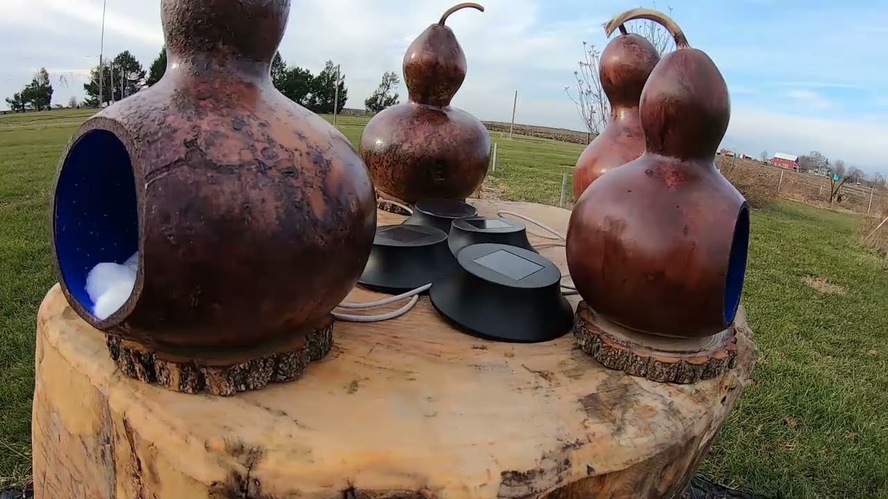 The Christmas Gourds