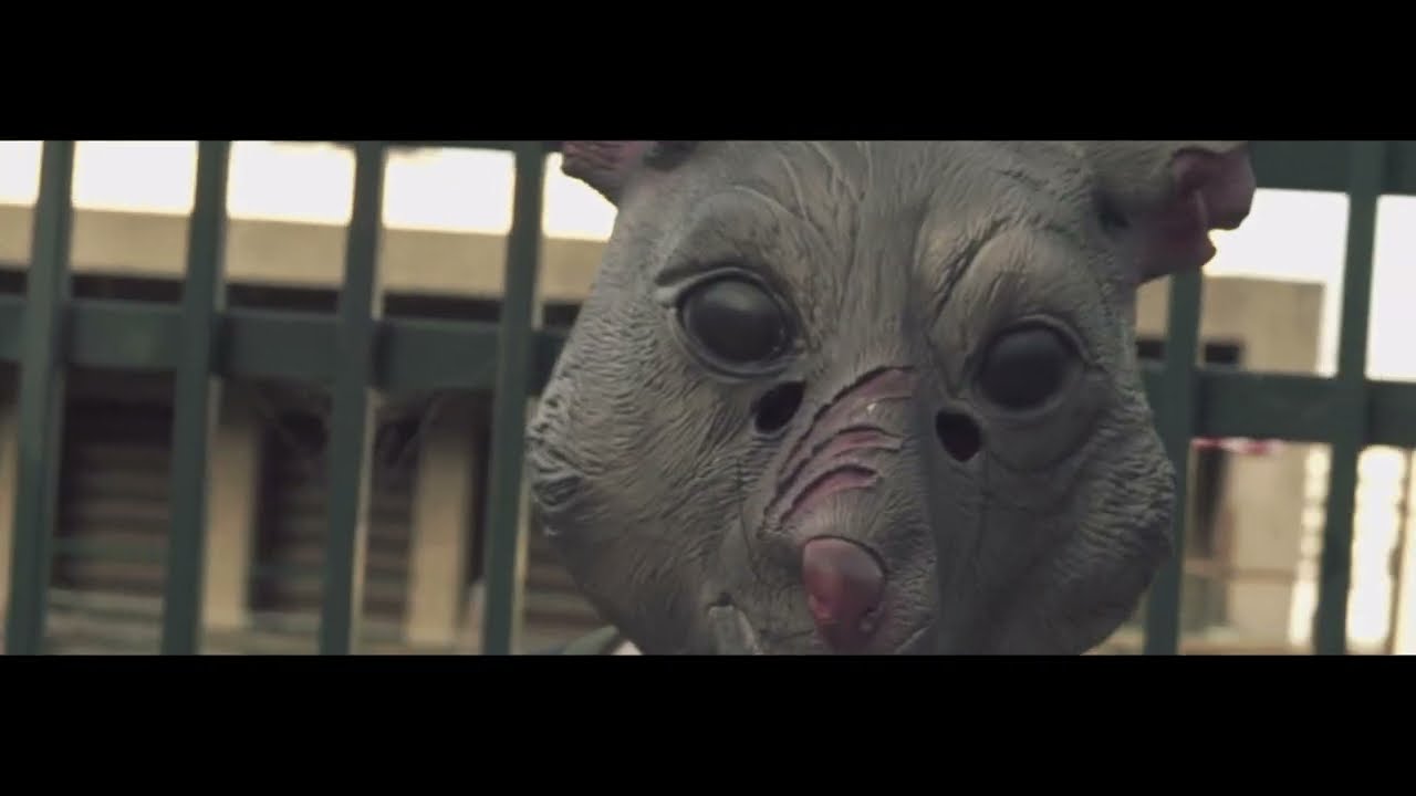 Matiah Chinaski & Martin Benavides (Salvaje Nostalgia) - Extinción