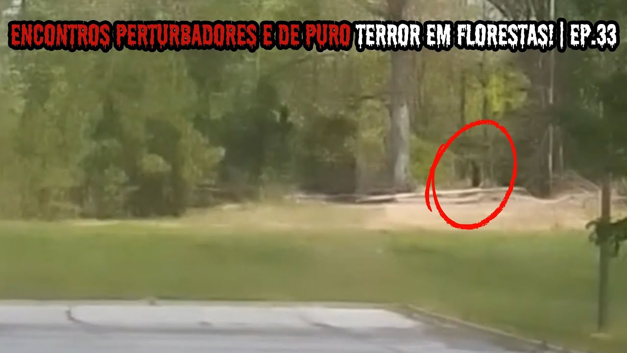Encontros Perturbadores e de puro TERROR em Florestas!  | EP.33