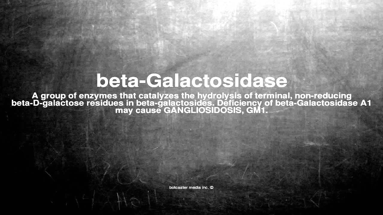 Medical vocabulary: What does beta-Galactosidase mean
