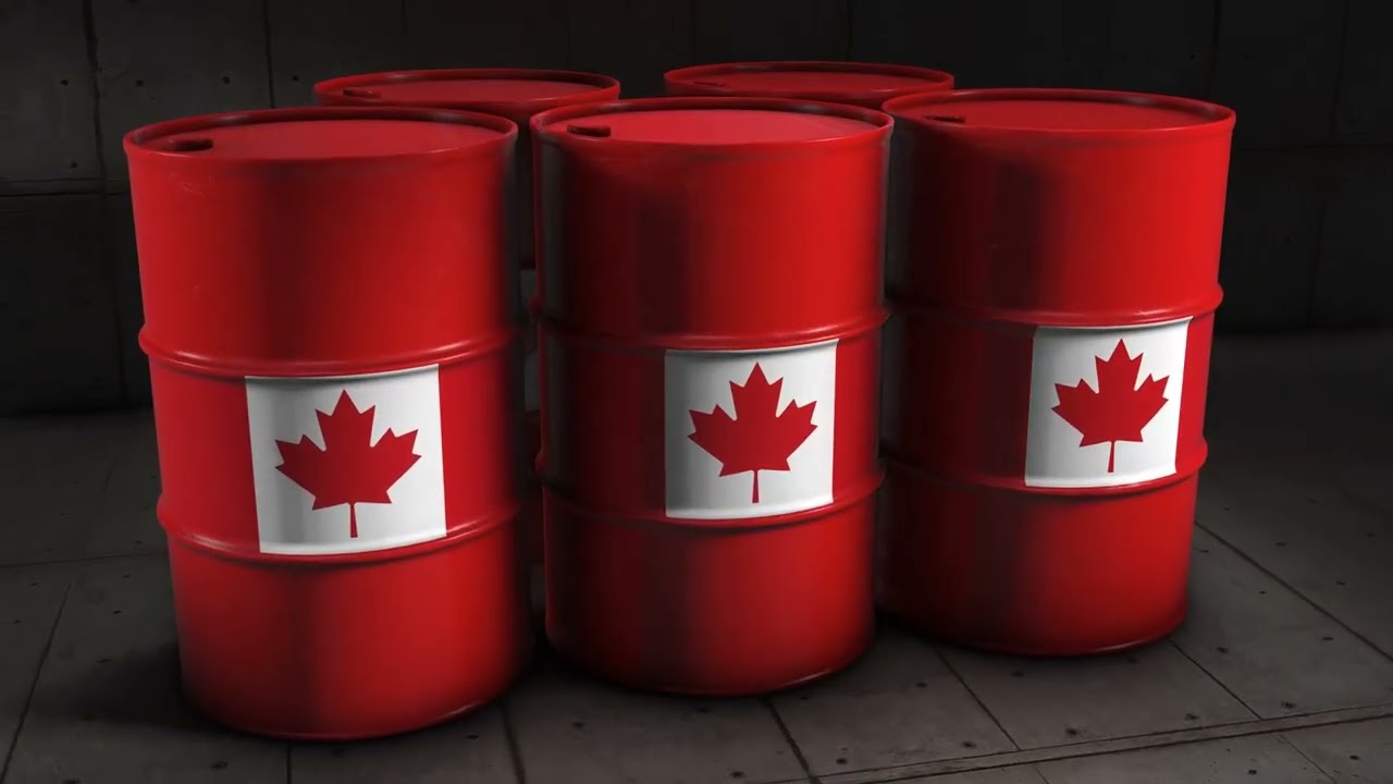 Decoding International Trade Regulations #drsmartbiz #businessstudents #entrepreneur #global