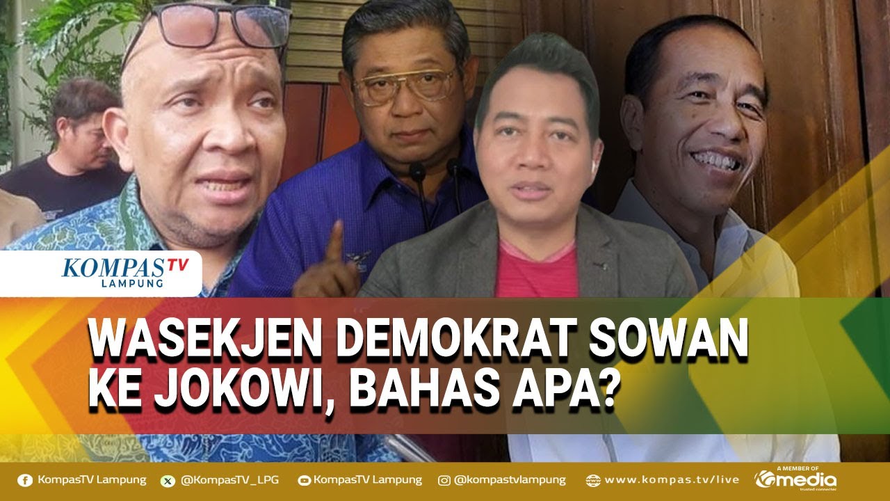 Pertemuan Wasekjen Demokrat dengan Jokowi, Apa yang Dibahas? Ini Respons Adi Prayitno