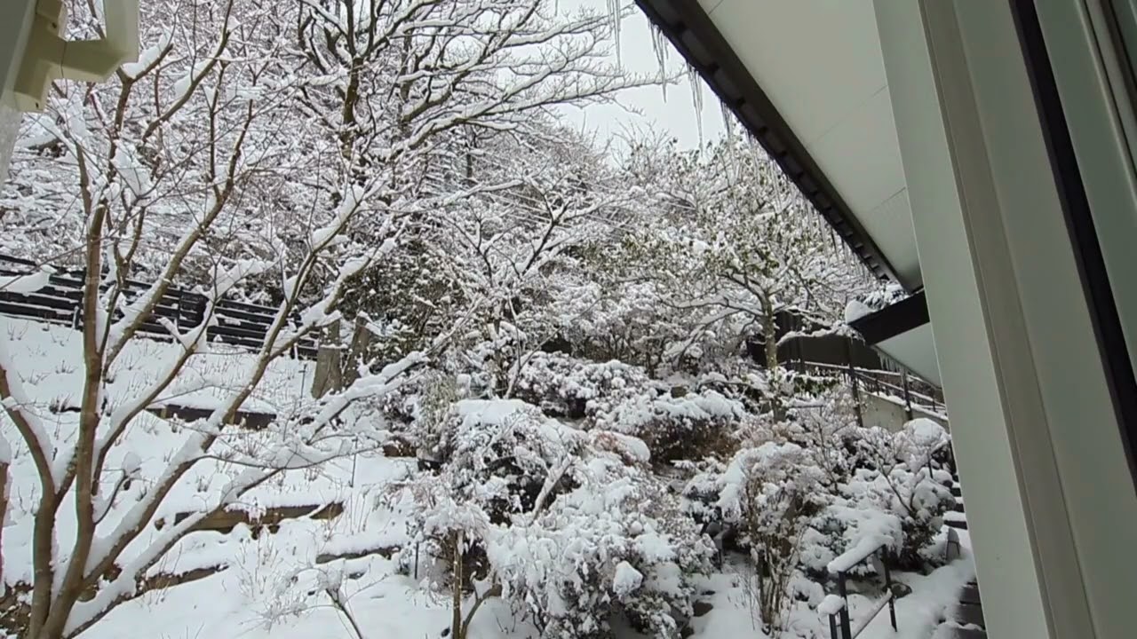 箱根　旅館　蔵樹　箱根神社の神域　通勤中に聞くだけで一日が、幸せに満ちる　玄関から眺める雪景色　冬の箱根　BGM 月の光　ドビュッシー