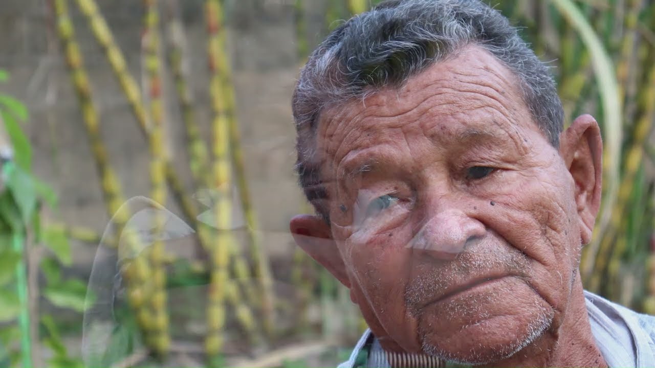 Mestre Darci Sanfoneiro.