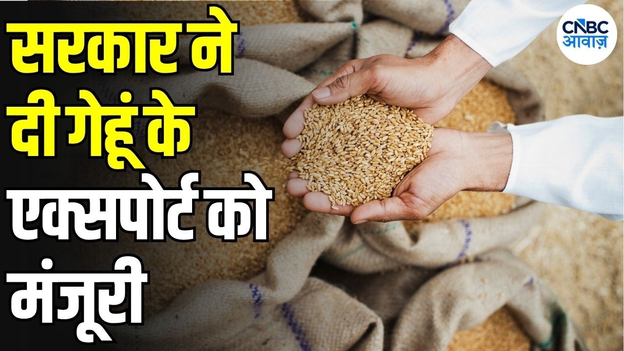Wheat Export News: Restrictions on wheat, flour, and semolina exports lifted! Companies can now freely export.