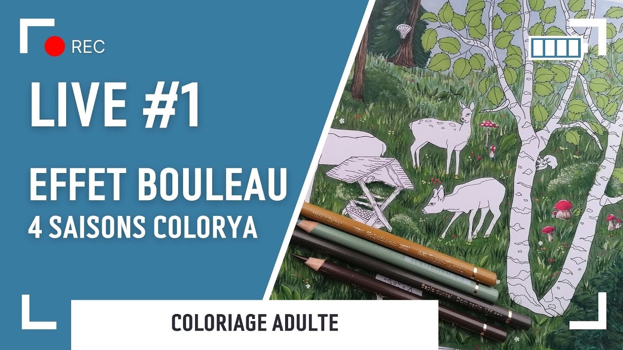 LIVE #1 | Effet bouleau - 4 saisons Colorya
