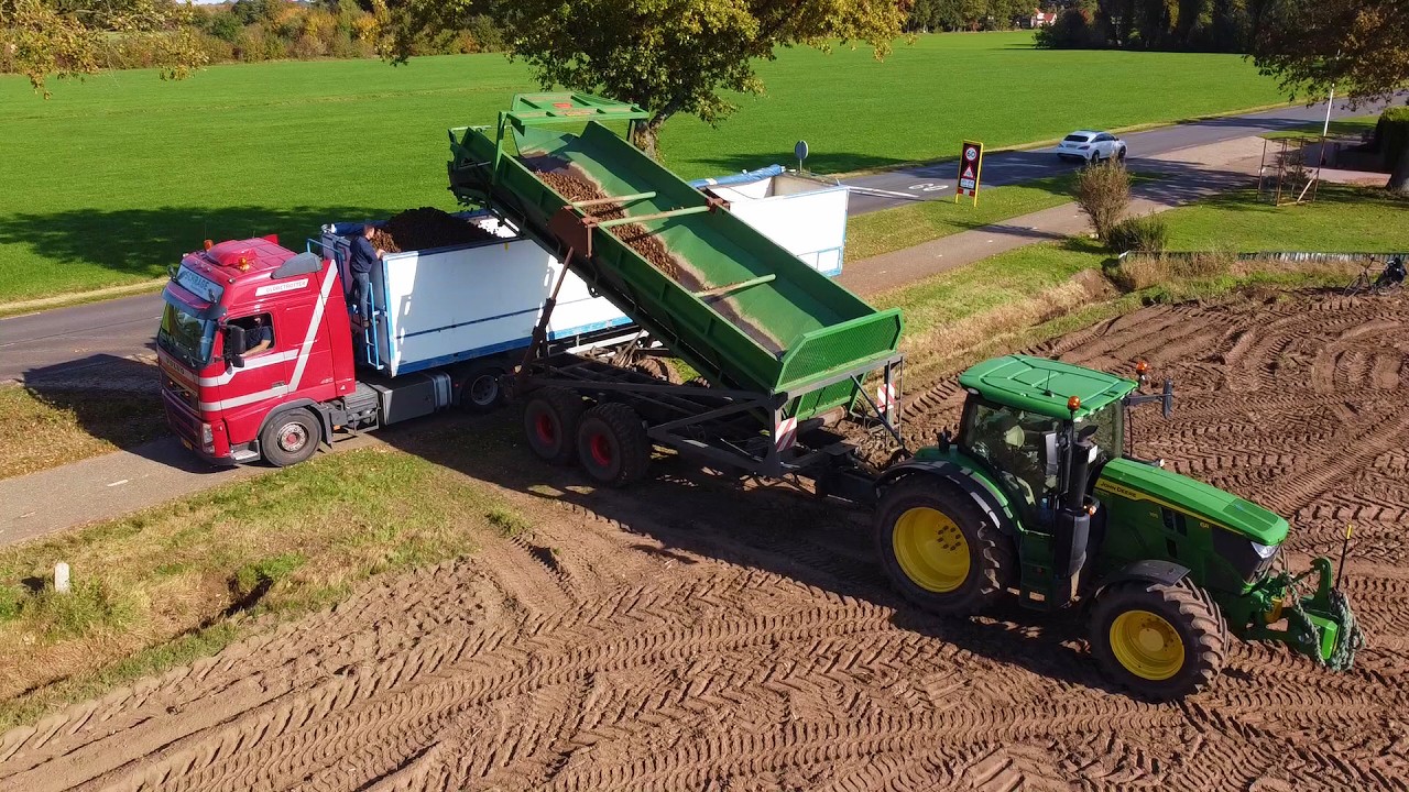 2025 Harvesting potatoes