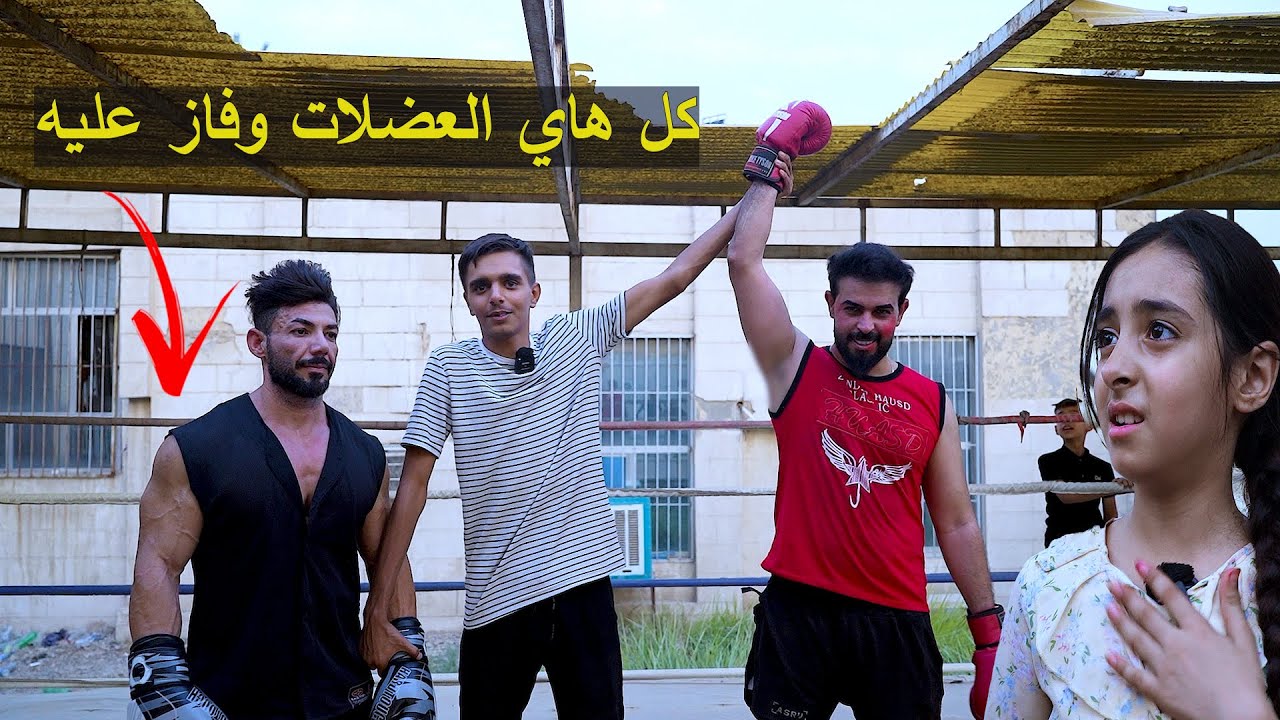 طفله خرسه ابوها يلاكم بطل عملاق حتى يعالجها