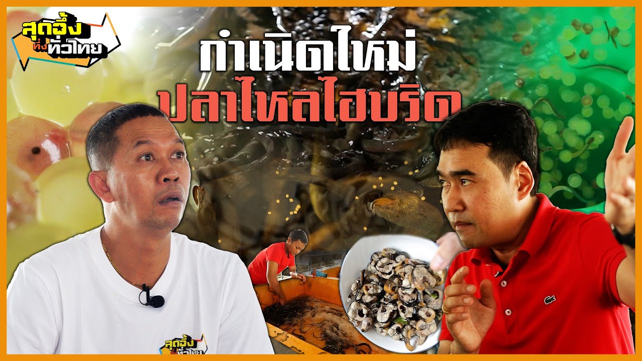กำเนิดใหม่ปลาไหลไฮบริดสัตว์น้ำเลือดผสม | สุดอึ้งทึ่งทั่วไทย