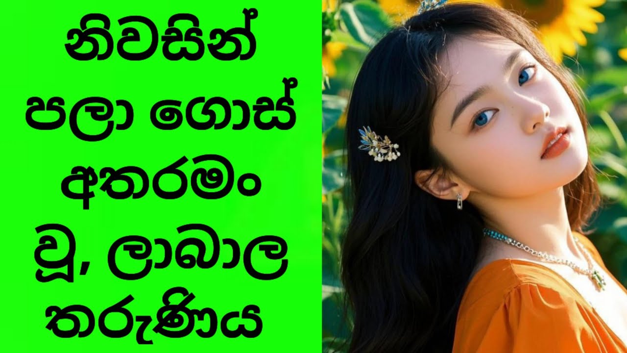 අහම්බයකින් හමුවූ ආදරයක් ❤ ලස්සන ආදර කතාවක් |Sinhala Ketikatha | Love Story 😍 