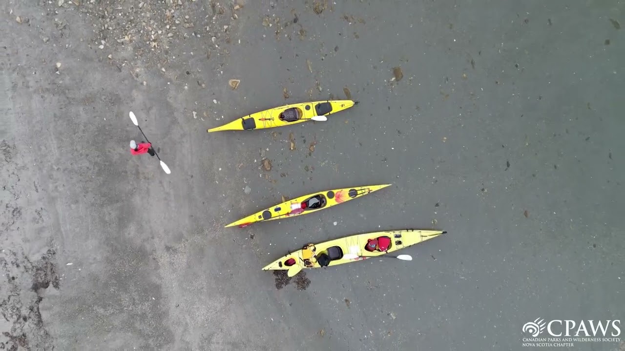 Exploring the Underwater World around the LaHave Islands