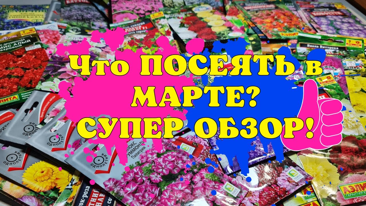 ЧТО ПОСЕЯТЬ в МАРТЕ? САМЫЕ ЛУЧШИЕ ЦВЕТЫ и НОВИНКИ! БОЛЬШОЙ ОБЗОР!