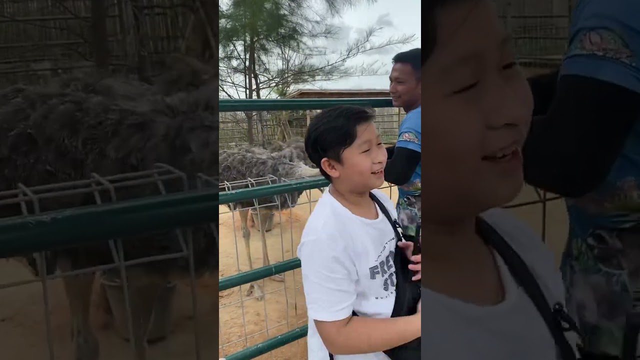 #BatamZoo #ExploreBatam #WildlifeExperience #VisitBatam #ZooDayOut #FunWithFamily #travel