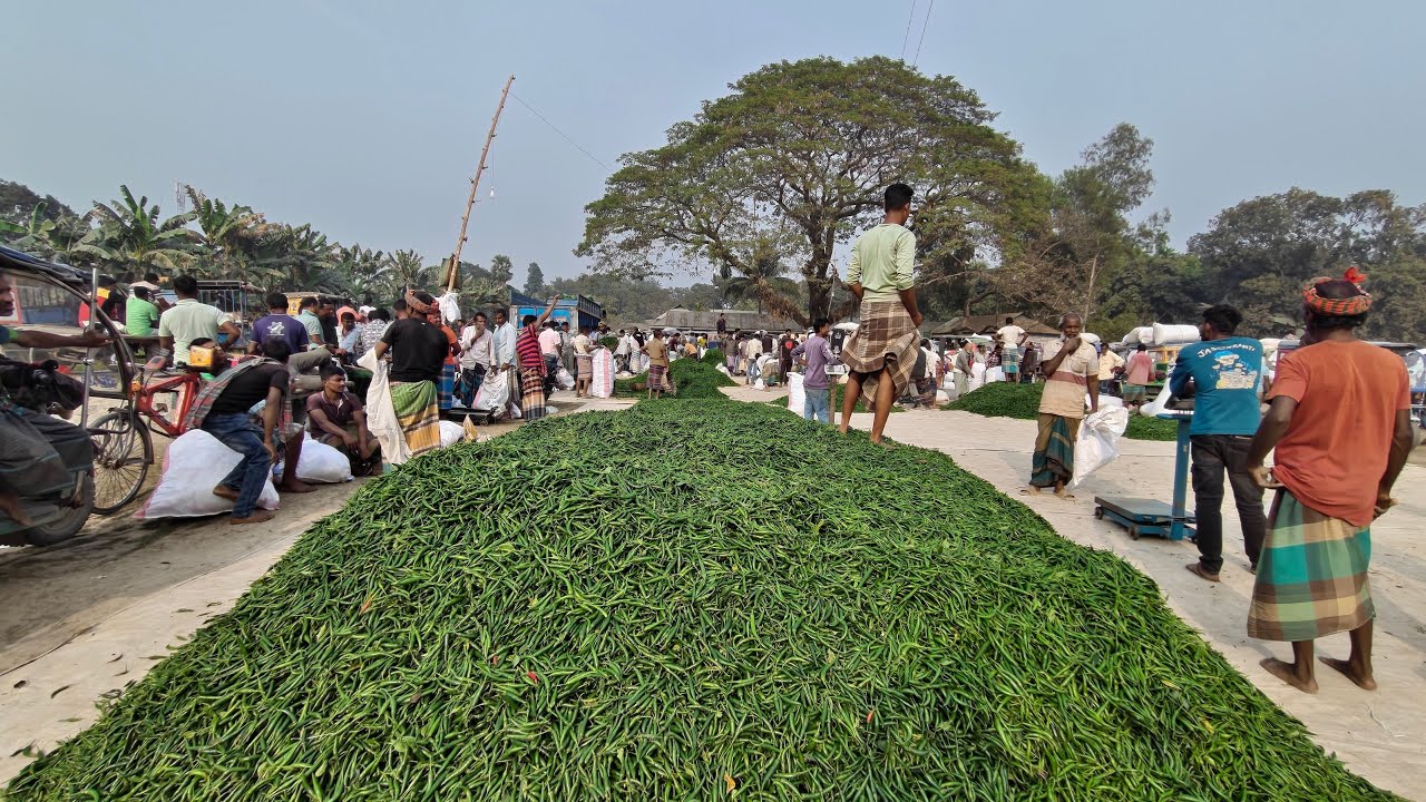 Hat Bazar is live! কেন্দুয়া কালিবাড়ি বাজার, জামালপুর সদর, জামালপুর