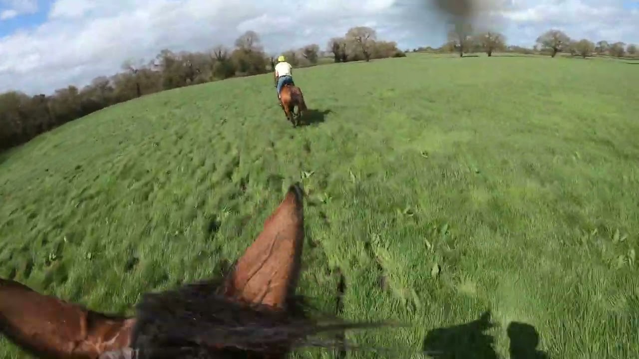 The Wynnstay Hunt Ride 2024   Bumble and Lost