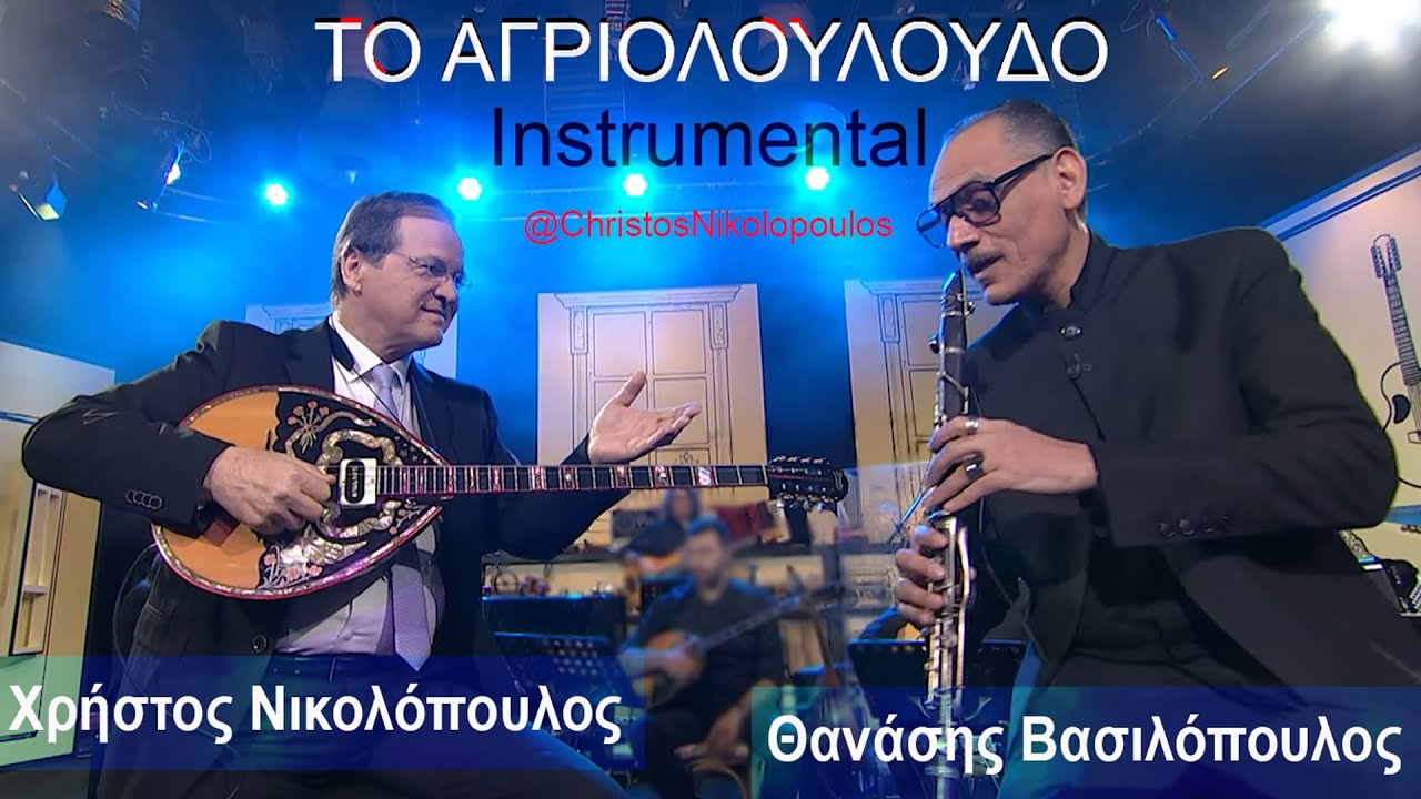 Αγριολούλουδο | Instrumental | Χρήστος Νικολόπουλος | Θανάσης Βασιλόπουλος | HQ
