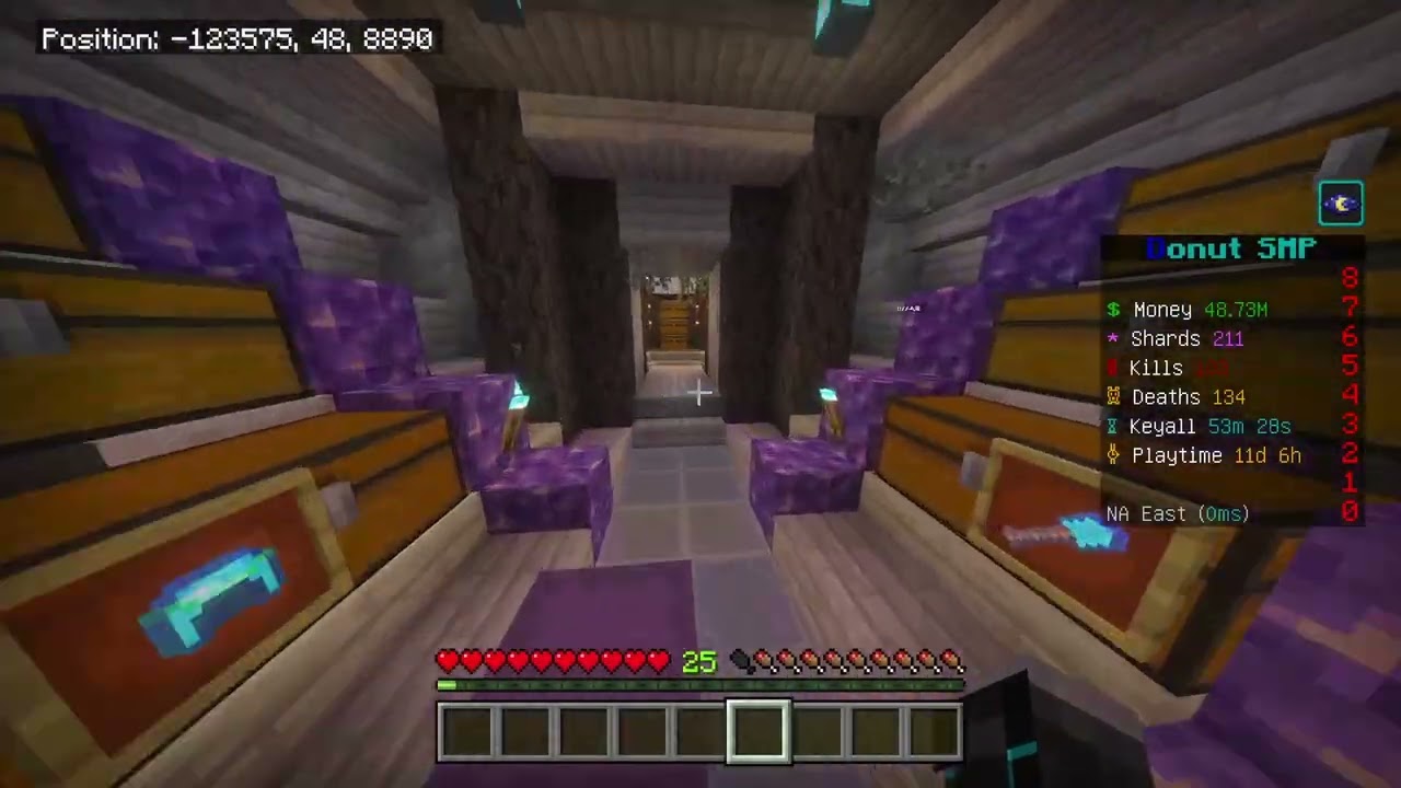 Raiding stash on donutsmp/bedrock 