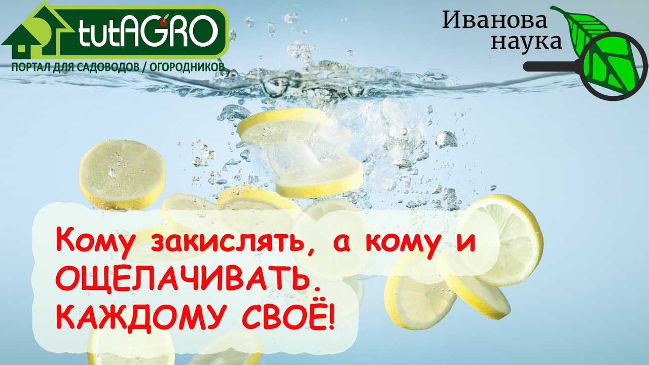 Закислять не надо защелачивать - где ВАША запятая? Что при каких болезнях лучше?