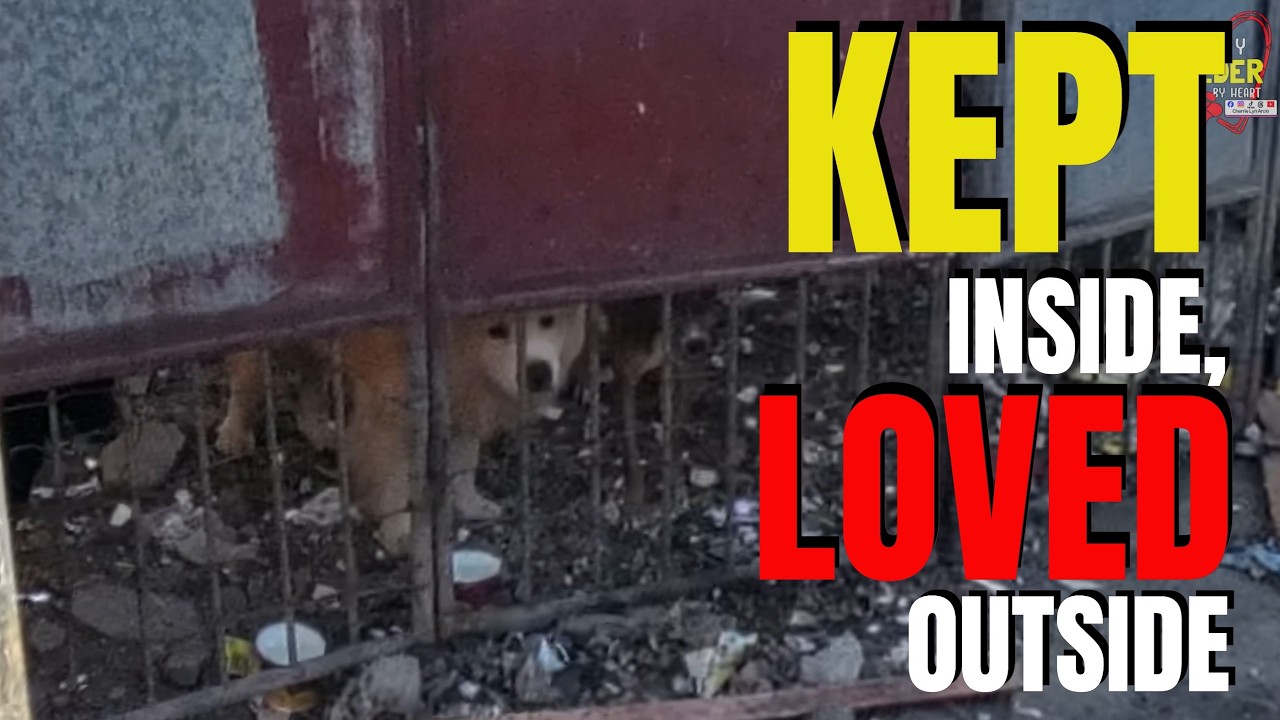 They may be kept inside, but love always finds its way through