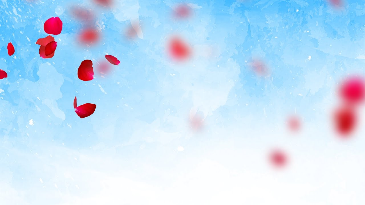 الشيخ حسين عبد الكريم   | مولد أبا الفضل العباس  (عليه السلام) 1447هـ