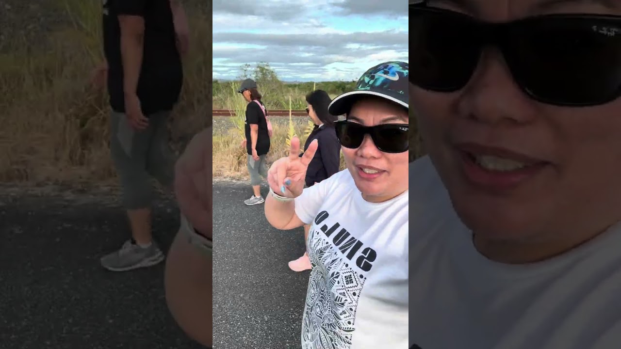 Ahuriri Estuary  Hawksbay New Zealand 