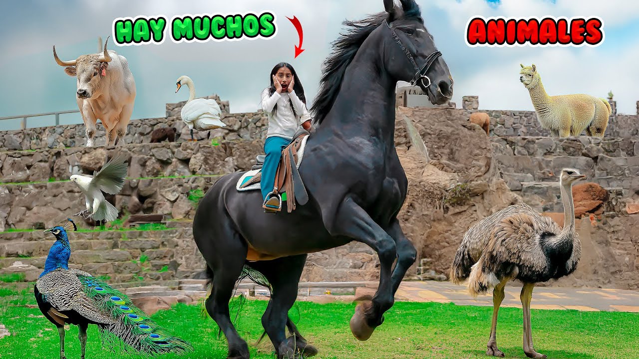 CONOCI MUCHOS ANIMALES (final inesperado) 🤯