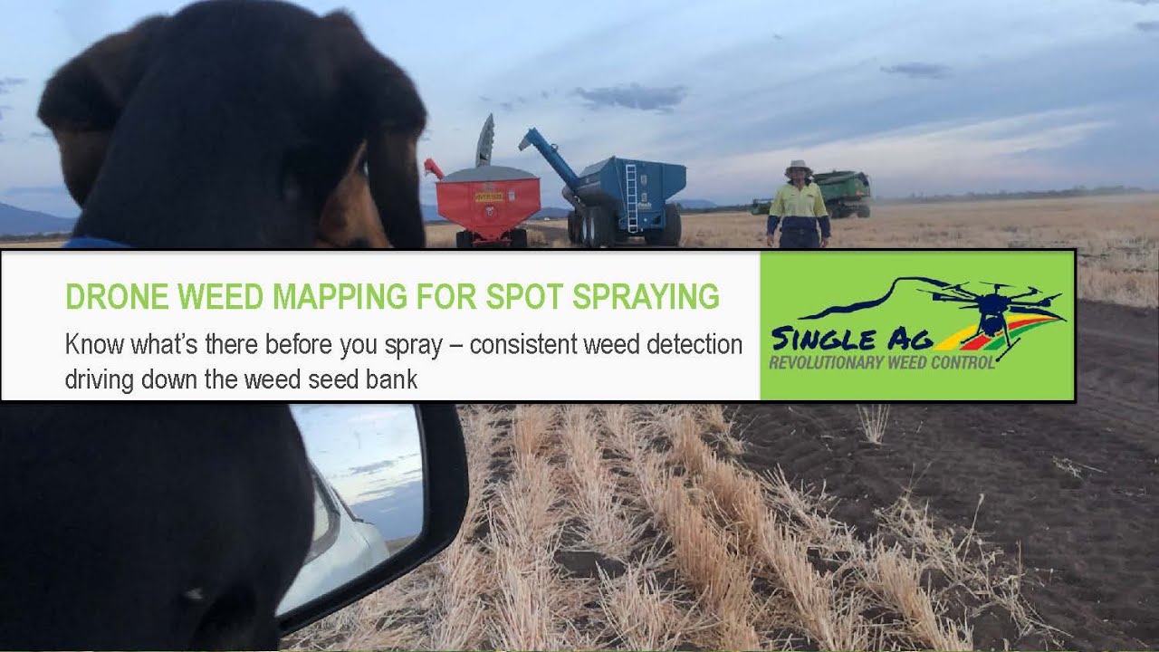 Single Shot drone weed mapping for spot spraying
