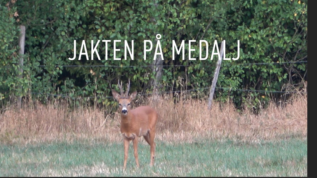 Jakten på medalj