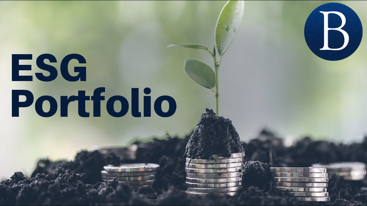 How to Build an ESG Portfolio | Barron's Explains