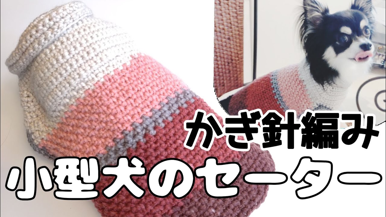 【かぎ針犬用セーター】パティシエ１玉でとじはぎ無し簡単な犬のセーター編み方とDoggyBox開封動画