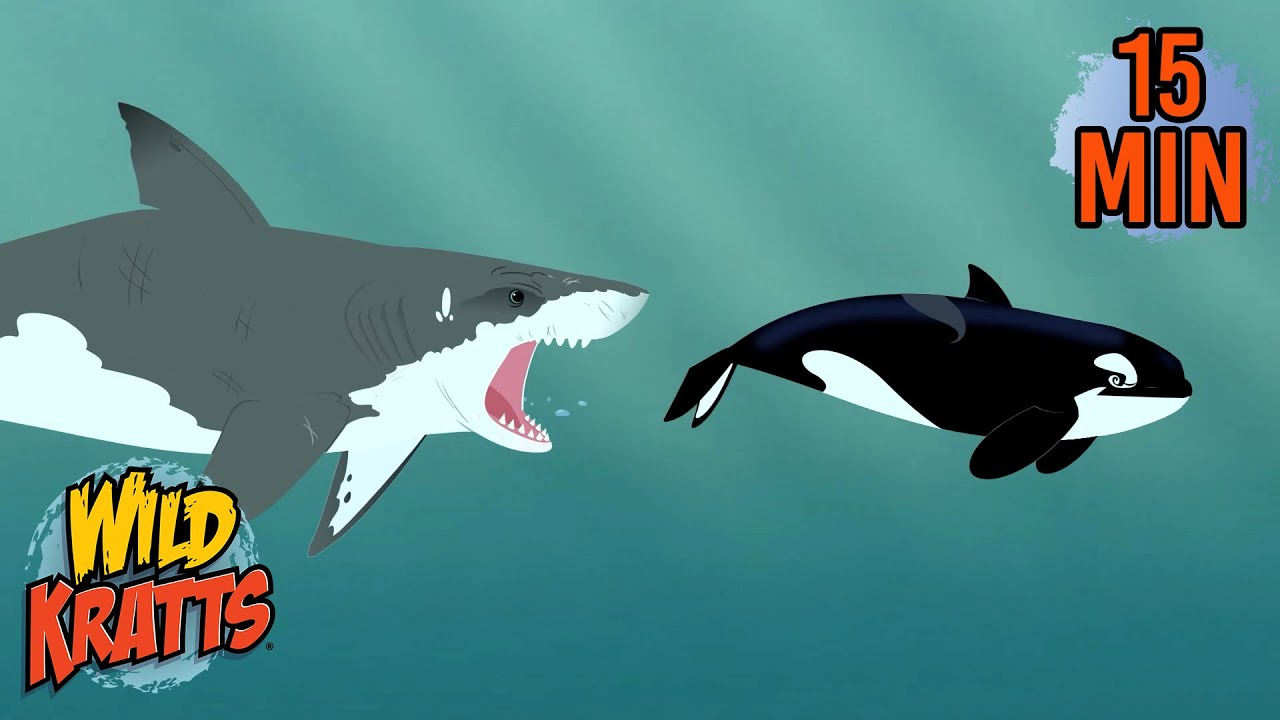 Every Creature Rescue Part 23 | Protecting The Earth's Wildlife | New Compilation | Wild Kratts