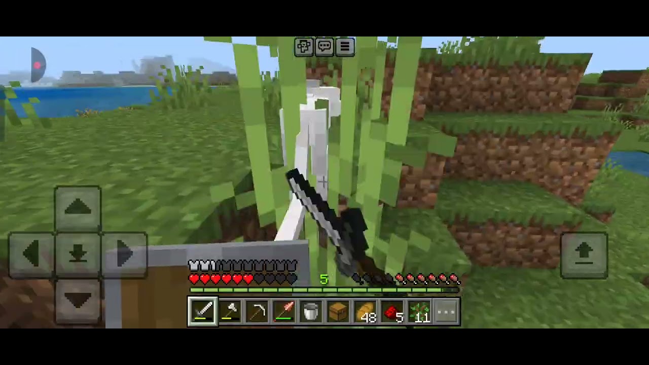 PLAYING IN MY SURVIVAL WORLD 