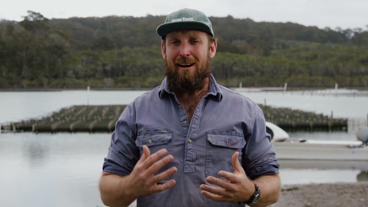 9.  How are oysters grown - NSW Farmers 1080p