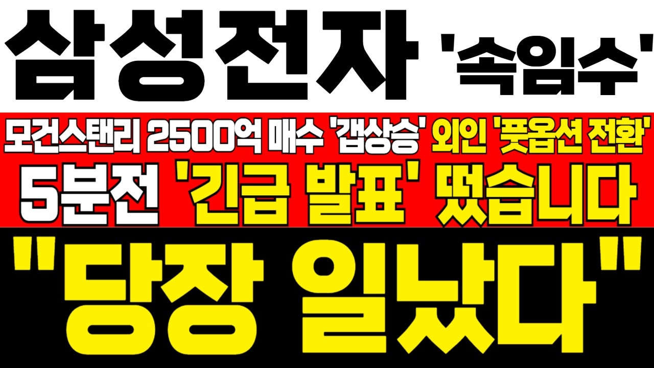 [삼성전자 주가전망] 미노출 - *5분전 속보* 모건스탠리 2500억 매수 갭상승! 외인 풋옵션 전환! 하락 구간 기회! 흔들리지마라! !대응필수 !완벽분석