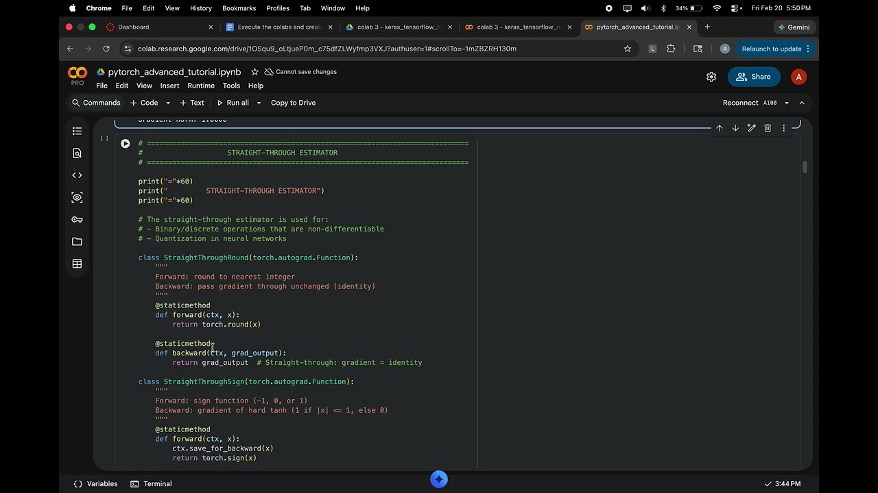 pytorch advanced tutorial