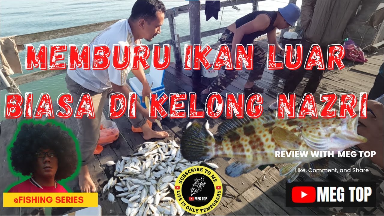 MEMBURU IKAN LUAR BIASA DI KELONG NAZRI