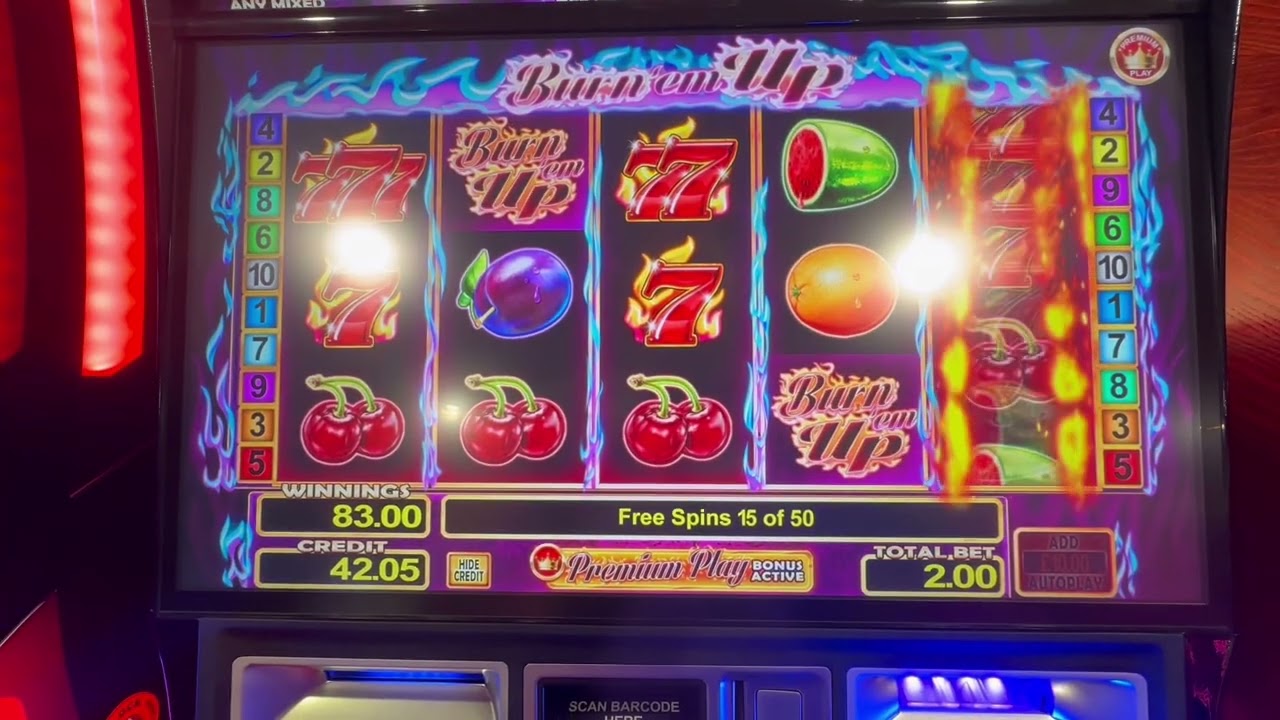 FOBT BINGO SESH. Gold fish reel action, golden dragon, just rewards and a bit more. Little session!