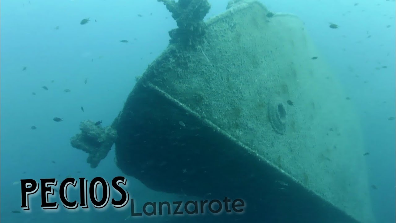 Buceo en Pecios, Playa Chica - Lanzarote (Julio 2023)