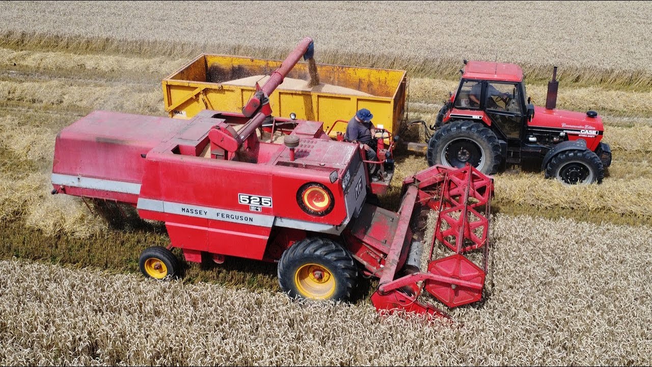 Classic harvest with Massey Ferguson 525 combine and Case IH 1494 and 1594 | From 94 Series Farming