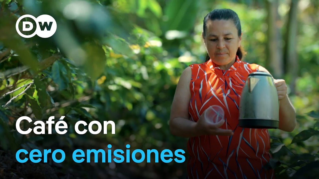 Costa Rica produce café sin contaminar